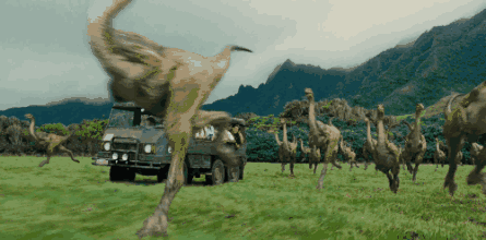 640 (6).gif