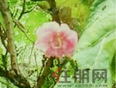 北海海关实行进口货物增值税新税率