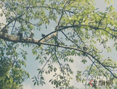 “合浦大月饼”广西地方标准通过审定