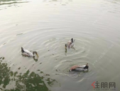 为优化营商环境消“痛点”祛“堵点”