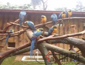 王乃学蔡锦军调研银基项目   全力以赴推进项目建设