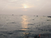 我市一季度水路运输周转量同比增长4.46%