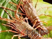 房地产税法草案完善有望提速  专家建言设住房免征面积