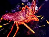 高质量建筑“未来之城”（新论）