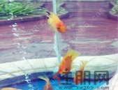 三四线城市土地市场明显降温