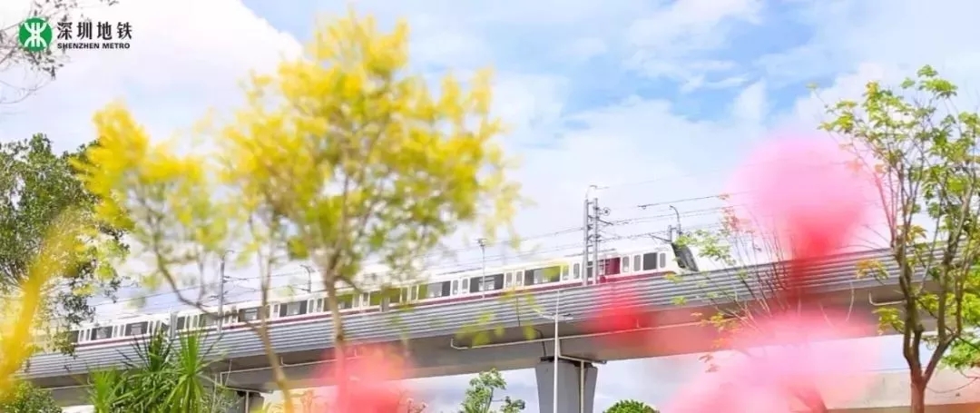 *** (11).jpg *** (11).jpg