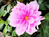 了解珠城沧桑巨变