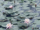 一季度北海财政收入总量位居广西第三 收入质量继续位居榜首