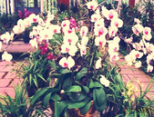 专家聚焦完善住房保障体系