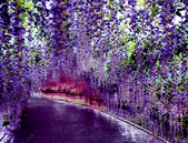 局地现小阳春 这波房地产价格趋势如何