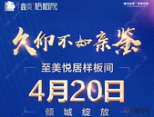 新江北鑫炎造｜4月20日 至美悦居样板间 倾城绽放