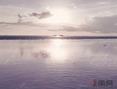 坚定路子 抢占先机 解放思想 做好服务