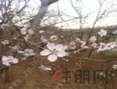 重磅楼市新政今起实施，刚有起色的楼市被浇了盆冷水…