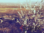 放开落户引二、三线热点城市 房价上涨预期升温