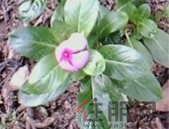 全国首套房贷款利率连降4个月 未来整体房贷利率可能继续下行