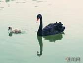 中国电子北部湾信息港上榜