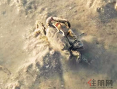 民进中央主题教育活动在北海举行