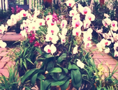 北部湾文学院揭牌成立