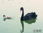 习近平总书记视察北海两周年发展纪实