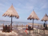 楼市告别“黄金时代”房企坚持“现金为王”