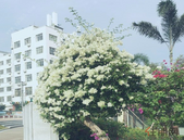 鹤岗楼市“白菜价”的警示意义：全国房价上涨格局可能已终结