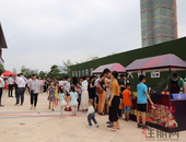 人气满满！上周，玉林各路吃货聚集在这里，享受一场美食盛宴！