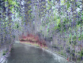 推进土壤风险管控