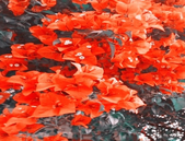 近200家企业入驻中国电子北部湾信息港