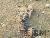 排查整治安全隐患