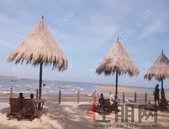 这些城市又开始抢地了超20家房企年内拿地过百亿