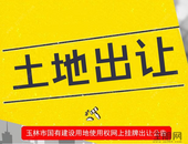 玉林市国有建设用地使用权网上挂牌出让公告[10号]