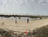 使用率不到2% 媒体：动用公共维修金门槛不能太高