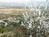 银海区8个重点项目开工