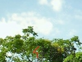 钦州—北海高速公路扩建