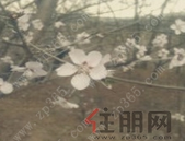 召开区域经济发展论坛