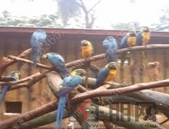 深圳楼市走出小阳春：刚需人群主导 房住不炒成现实