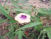 许善达回应房地产税：只要不“稳” 就不会出台