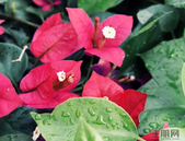 我市全力推进扫黑除恶专项斗争