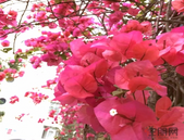 推动银基项目搬迁工作