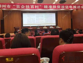 碧桂园广西区域柳州城市公司荣获柳州市“百企扶百村”精准扶贫先进单位称号