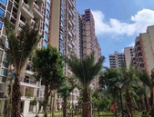 数量猛增 重庆民宿陷入“围城困局”