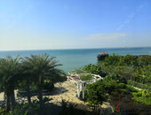 社科院预测今年房价均价约9206元/平 涨幅回落