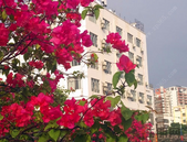 北海游客满意度位居全区第二名