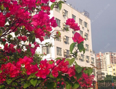 北海一季度外贸进出口总值逾75亿