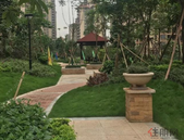 惊! 万科金域蓝湾二手房报价2万/平! 竞比新房贵8000元/平