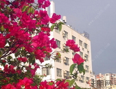 北海不动产抵押登记提速增效