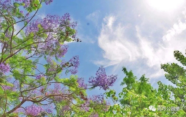 20190511_095855_013.jpg 20190511_095855_013.jpg