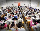 调查升级！**深圳四大的富源学校遭家长质疑违规，教育局回应