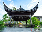 探访玉林优美园林丨云鬓花颜金步摇，玉东湖畔颂百花