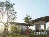 【鑫炎·梧桐院】2019年*火的母亲节系列产品，妈妈再打我一次！